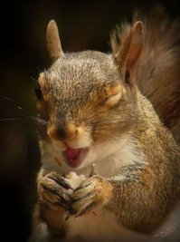 Сколько стоят Фишки ?