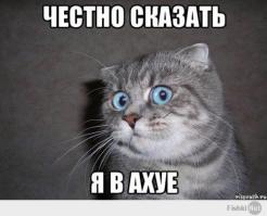 встреча курицы и ребенка спустя год 