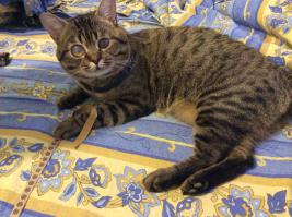 не то слово)я уже выкладывал в подобной теме)но всё же вам покажу)