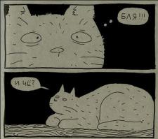 Действительно ли вас любит ваша кошка?