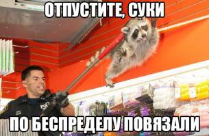 Картинки со смешными подписями