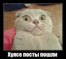 Мобильные устройства Apple научат падать, как кошка