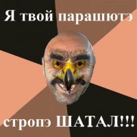 Орел сбил параплан