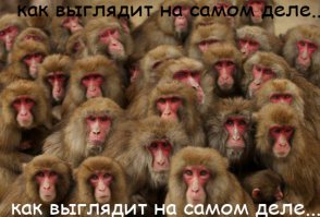 Как могла бы выглядеть Москва