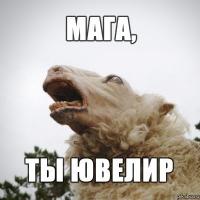 Похищение овцы