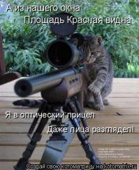 Подборка видео от 11.06.2014