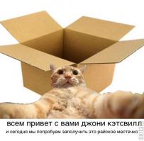 "Cафари-парк" для кошек