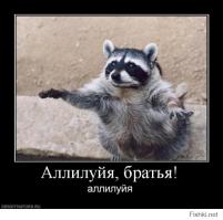 Енотской мудрости пост