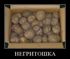 Самый темный материал.