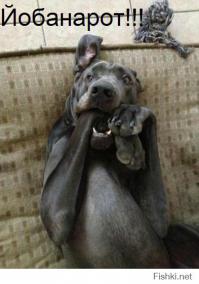 "Сестра сделала эту маску для Хэллоуина. Это по настоящему страшно..."