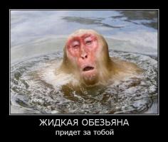 Животные принимающие ванну - самая милая вещь в мире