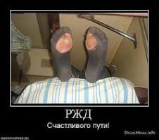 Забавные колготки для девушек