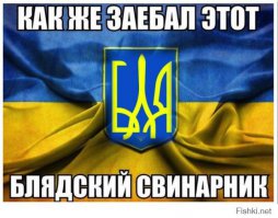 Главное — не мешать Украине упасть