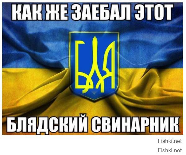 Главное — не мешать Украине упасть