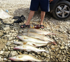 рыбалка это лучший отдых