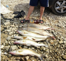 Лето лето, скорее бы лето, на Волгу, на щуку, эээээх