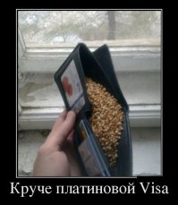 Почему гречка так сильно подорожала?