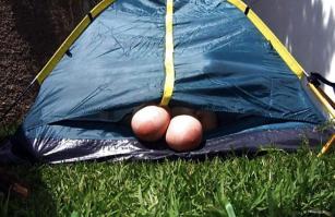 Очарование палаточного туризма