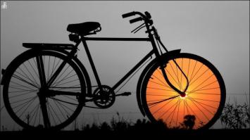 Фотоподборка за 13.11.2014