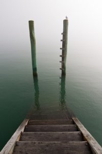 Как природа побеждает цивилизацию