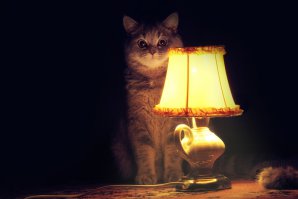 историй