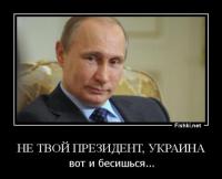 World of Putin