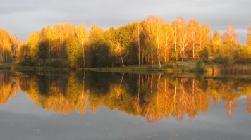 средняя полоса. смоленская область