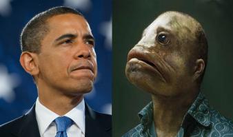 Самые впечатляющие образцы экорекламы