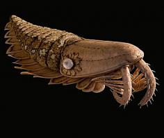 Кто его знает, что там может водиться на бывшей свалке.