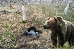 А вы были в медвежьей берлоге?