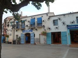 А каталонцы пауков спасают? (На снимке Порт Авентура, конечно :) )