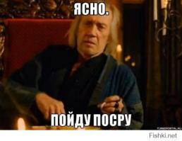 Сортир в лесу