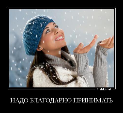 Фишкина солянка за 24.11.2014 