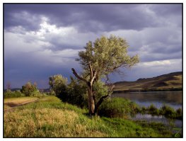 всё в разных частях Казахстана, так просто и не осмотреть))))