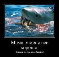Купание с акулами на Гавайях