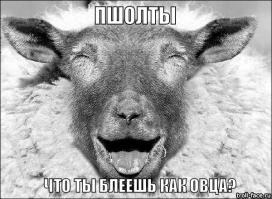 Медведев: антитабачный закон не направлен против курильщиков