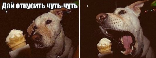 Пост обожания мороженого