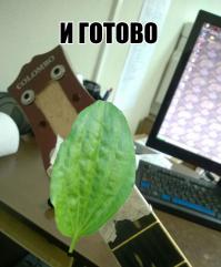 Реанимация гитары