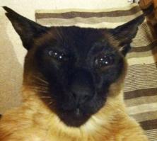 похож чем-то, да?