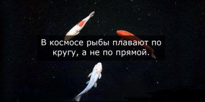 Что имелось в виду?