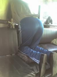 Веселые поездки в общественном транспорте