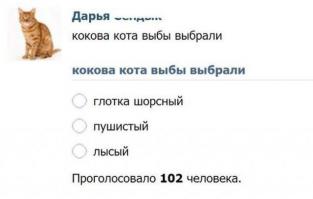 Смешные комментарии из социальных сетей 06.08.14 