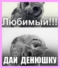 Фишкина солянка за 19.05.2014