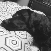 А это мой:) с теми же качествами