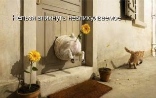 Запихнуть невпихуемое