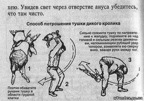 Карточки с полезными советами 