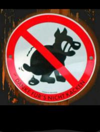 скоро на дорогах страны новый дорожный знак