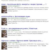 не следует верить всему, что постят лайкодрочеры, это результат поиска гугл по картинке.
вас обманули.
это не его котенок, он просто все придумал для потехи своего чсв...