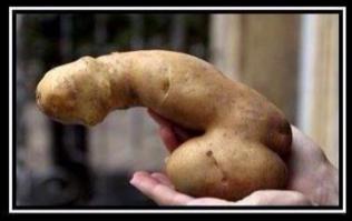 Овощи похожие на нечто другое