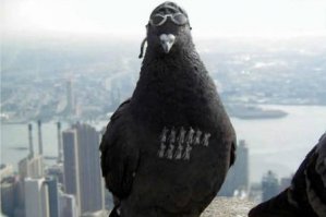 Загадка дня: Найди авто